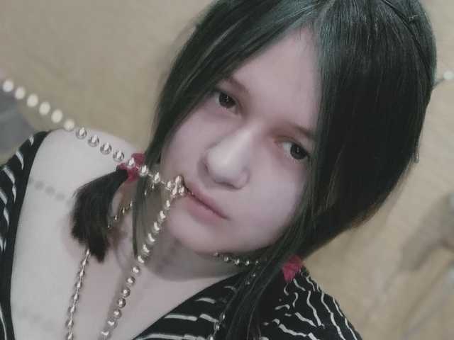 Photo of the profile Miko-Kotik