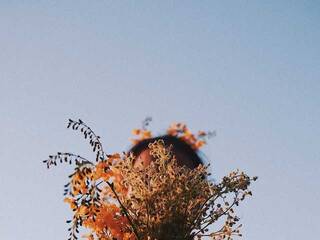 Erotic video chat Miniiskis