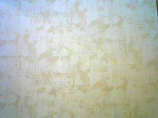 Broadcast screenshots MissMolly