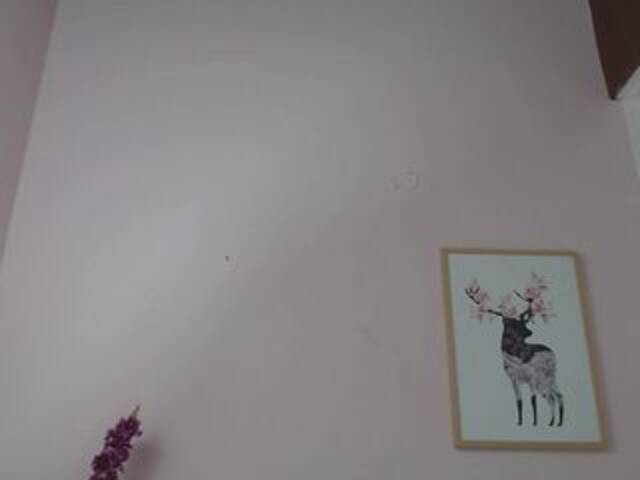 Broadcast screenshots naomiborges