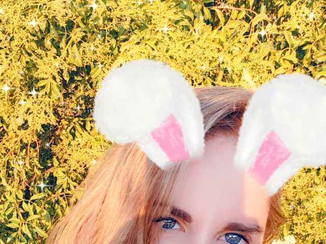 Photo of the profile Nilkibunnyxo