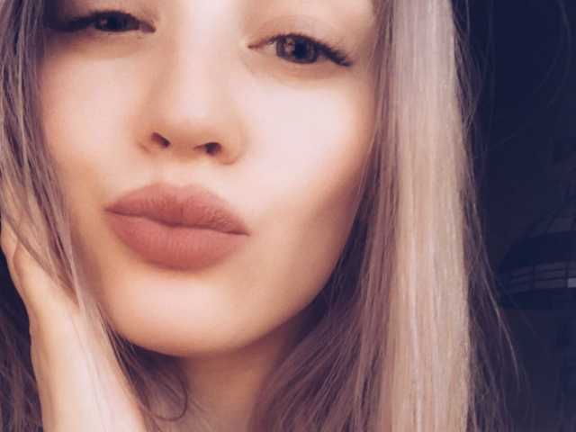 Photo of the profile puffer_fish