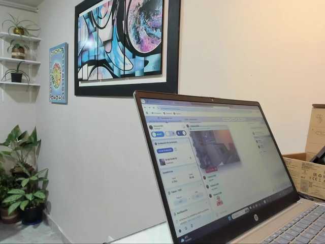 Broadcast screenshots Palmera1369