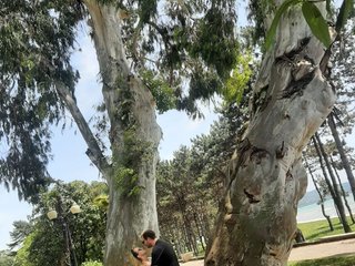 Erotic video chat PUPI-DEL-REY