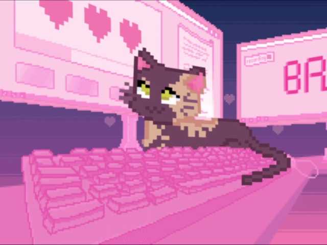 Broadcast screenshots RIGELADARA