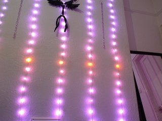 Erotic video chat robyn_vandal