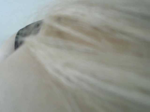 Broadcast screenshots SAASHAA11