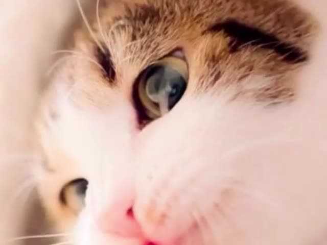 Broadcast screenshots Samantha-B