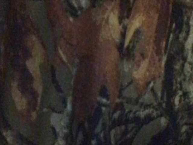 Broadcast screenshots shawtyyredd