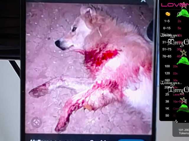 Broadcast screenshots sofiaclaus