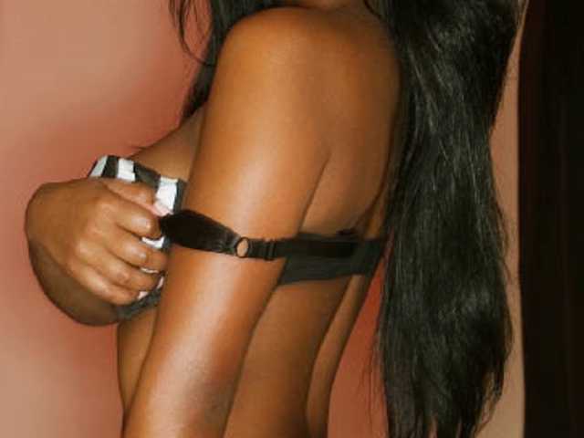 Photo of the profile SOFIBELT