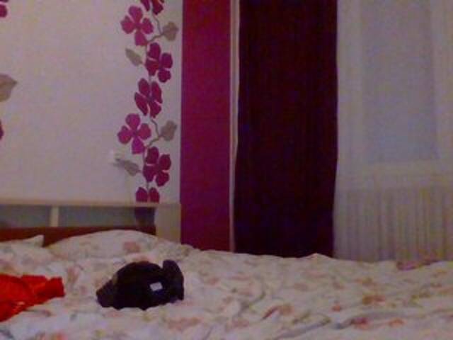 Broadcast screenshots SpicySab