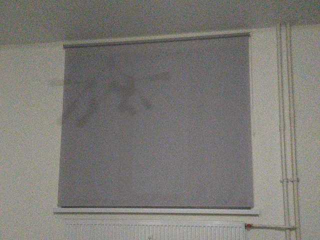 Broadcast screenshots Stasyaa