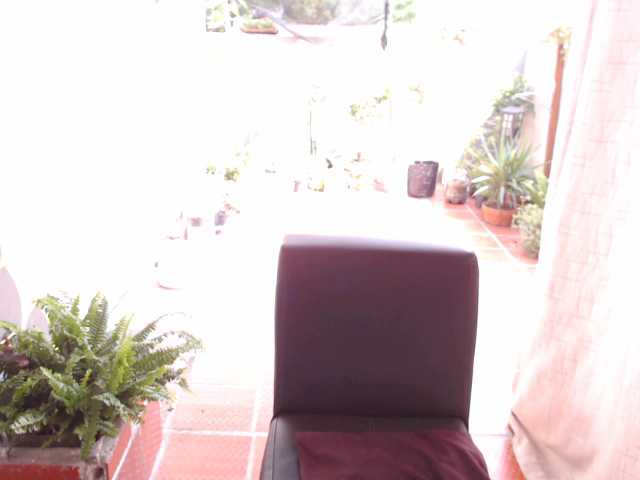 Broadcast screenshots steven-y-eli