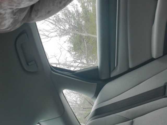 Broadcast screenshots Sugarisme