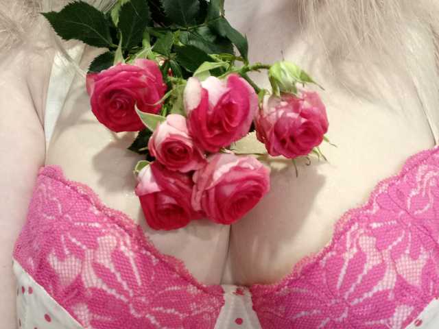 Photo of the profile SweetFox
