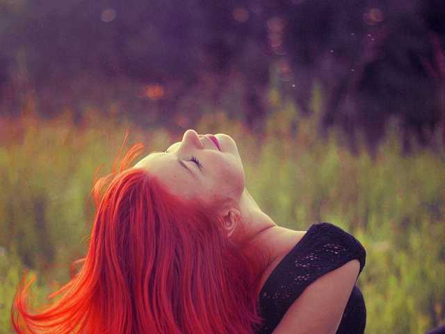 Photo of the profile SweetFox