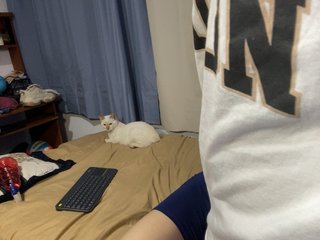 Erotic video chat TatianaAndDamian