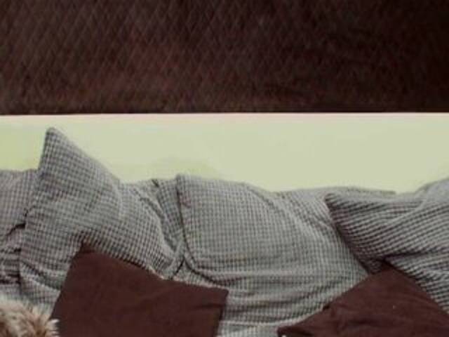 Broadcast screenshots VanessaTinsda