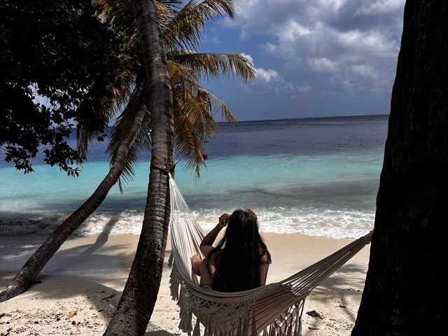 Photo of the profile MagicMelody