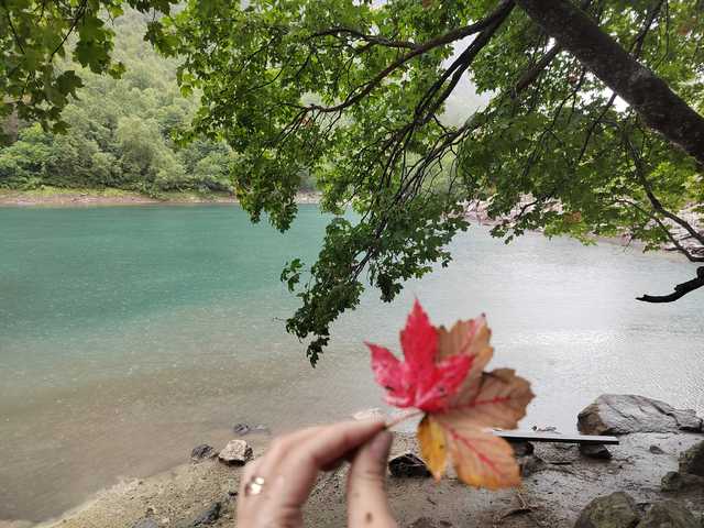 Photo of the profile _GoodGirl_