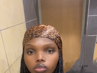 Erotic video chat Wildcata