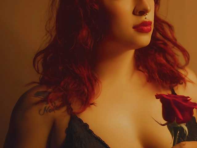 Photo of the profile zaylu